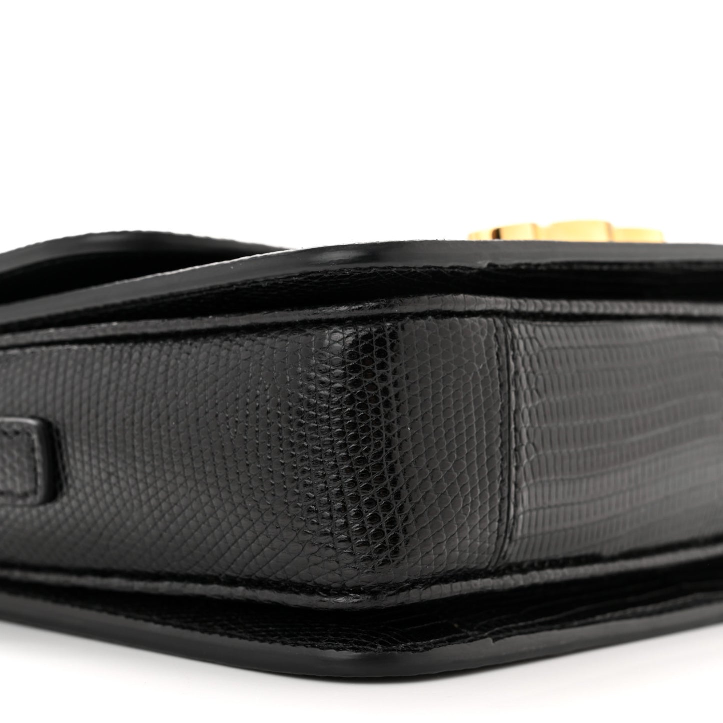 Lizard Teen Triomphe Black