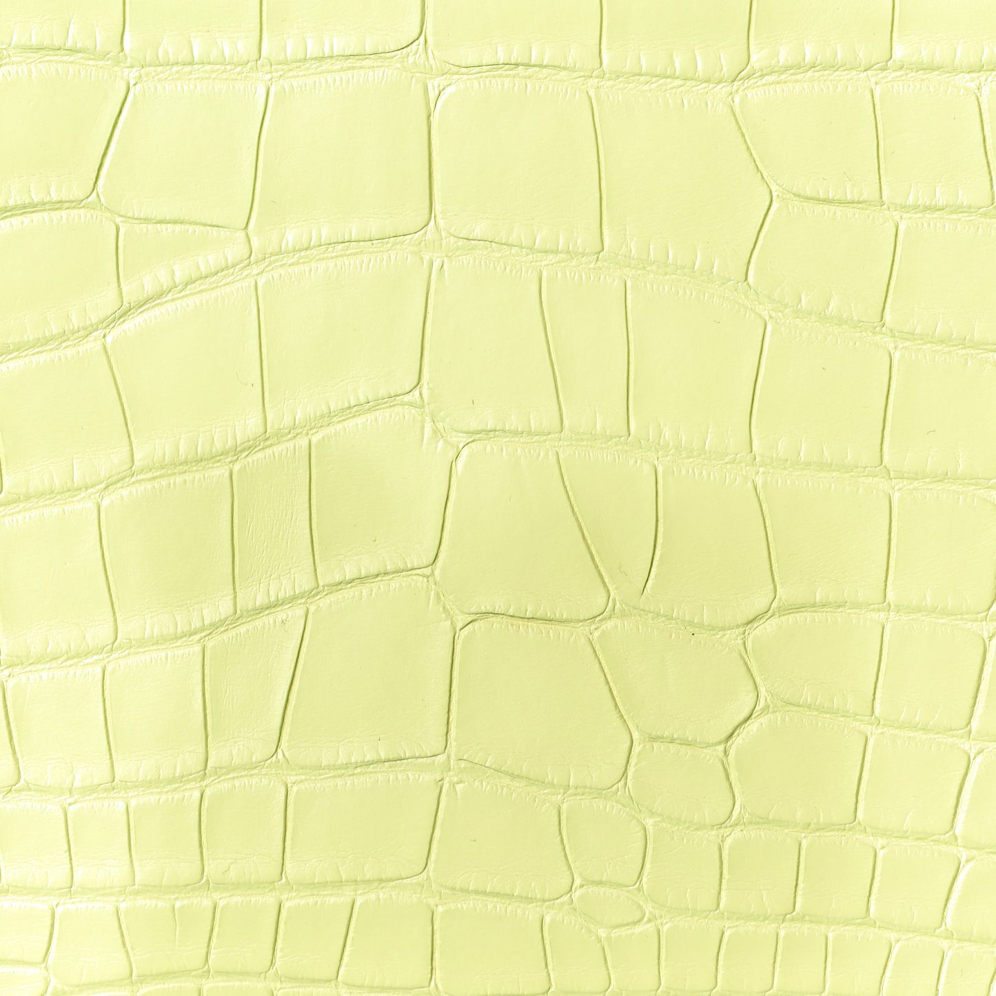 Matte Alligator Birkin 25 Jaune Bourgeon