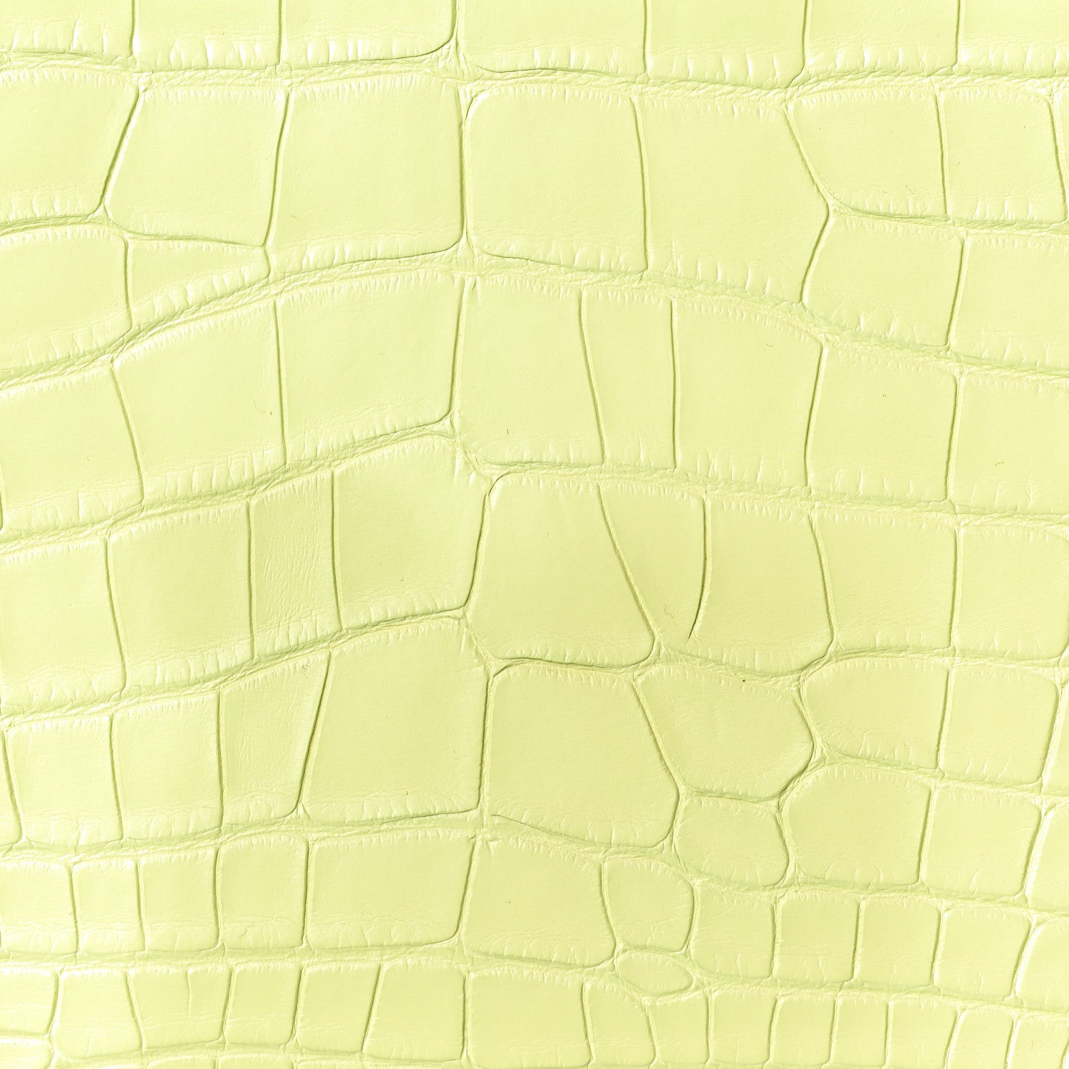 Hermes Matte Alligator Birkin 25 Jaune Bourgeon 8 of 11