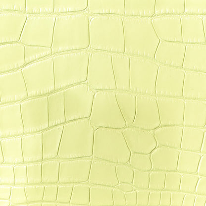 Hermes Matte Alligator Birkin 25 Jaune Bourgeon 8 of 11