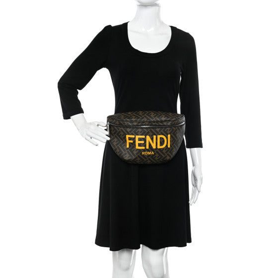 Fendi Shiny Glazed Fabric Vitello Cover FF 1974 Logo Belt Bag Tobacco Moro Giallo Ebano 2 of 9