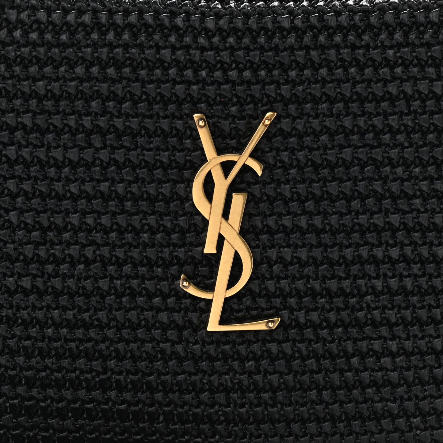 Raffia Canvas Monogram Lou Camera Bag Black