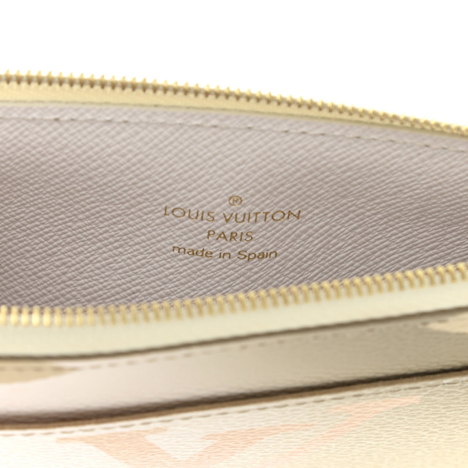 Louis Vuitton Monogram Giant Spring In The City Slim Purse Sunset Kaki 6 of 9