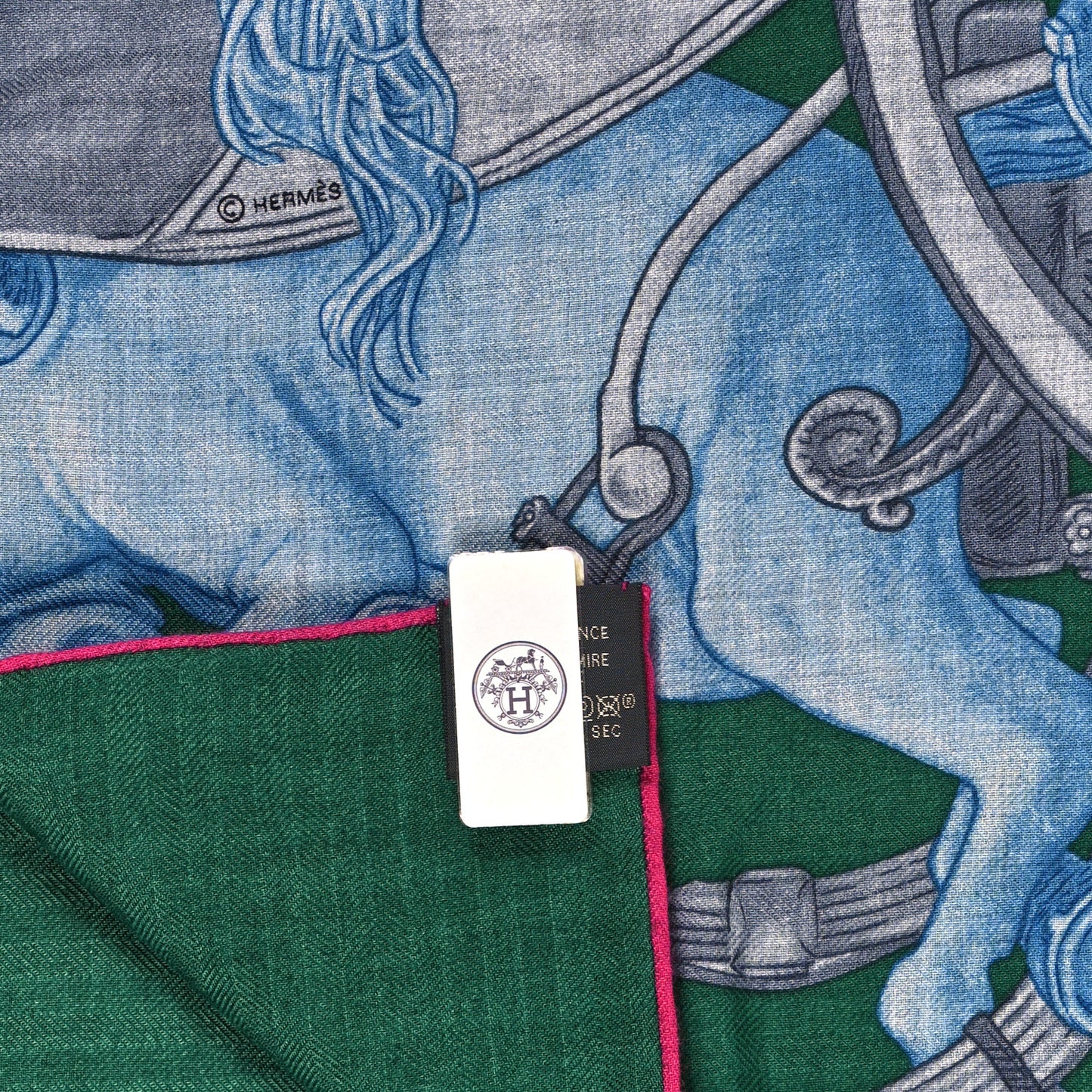 Cashmere Silk Grand Carrosse Royal Scarf 100 Royal