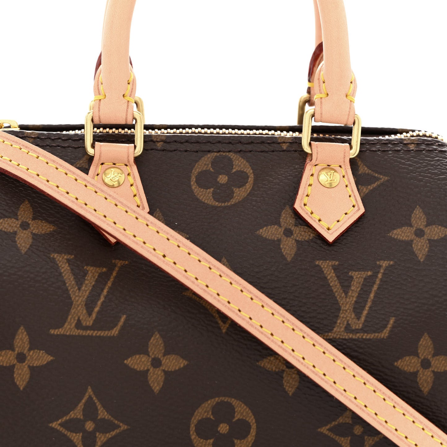 Monogram Nano Speedy
