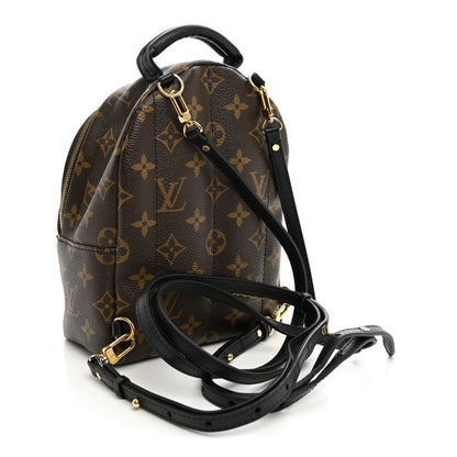 Louis Vuitton Monogram Palm Springs Backpack Mini 3 of 9