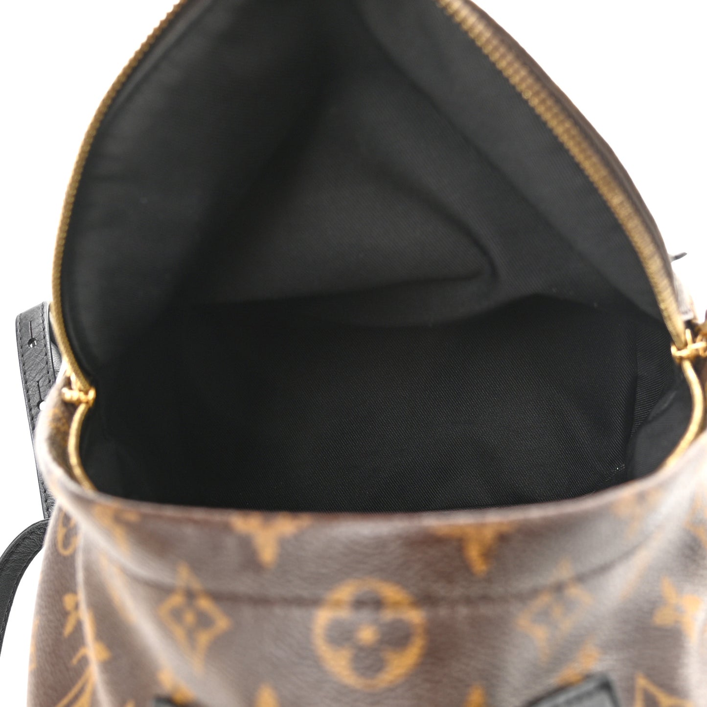 Monogram Palm Springs Backpack PM