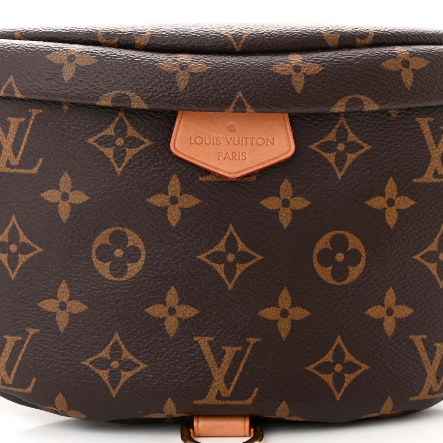 Louis Vuitton LOUIS VUITTON Monogram Bumbag 7 of 9