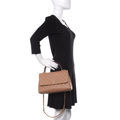 Chanel Caviar Lizard Embossed Quilted Small Coco Handle Flap Beige 3 of 11
