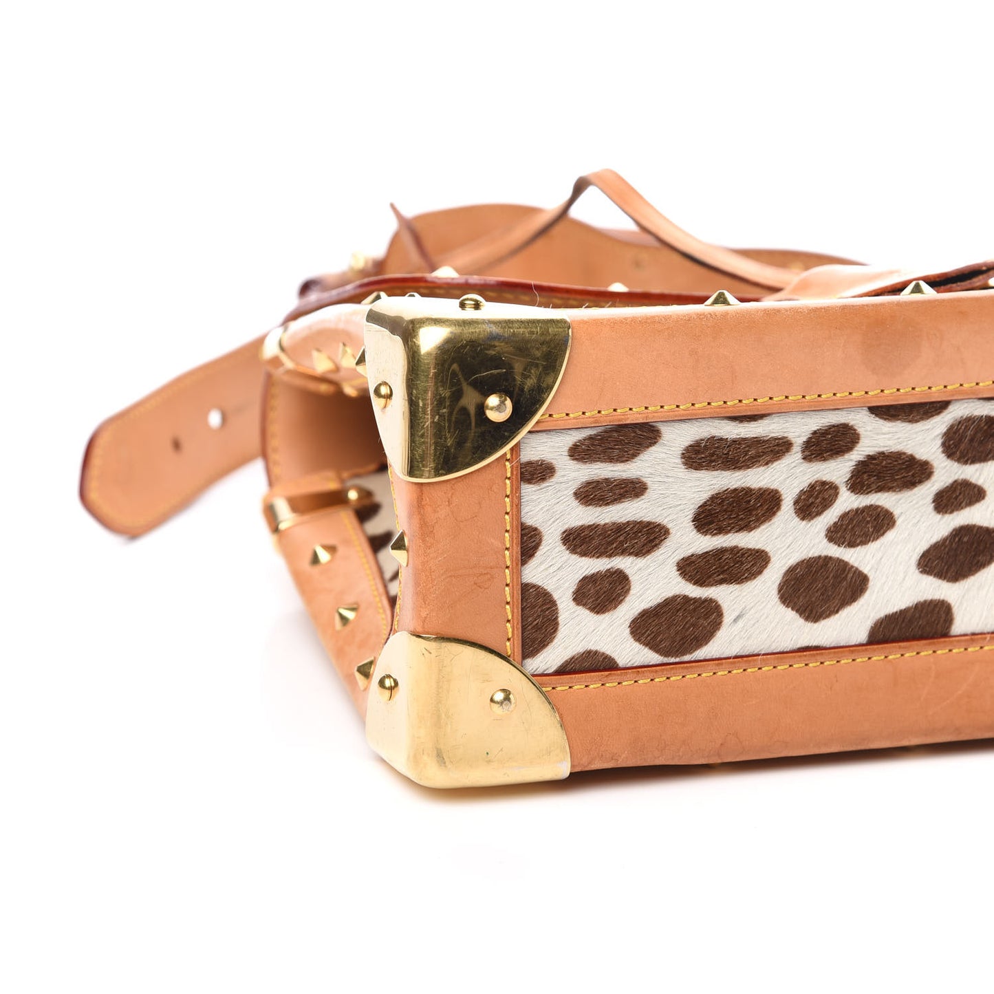 Monogram Multicolor Dalmatian Sac Rabat
