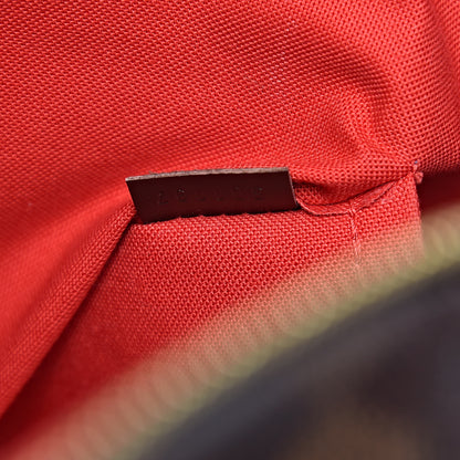 Louis Vuitton Damier Ebene Siena GM 9 of 13