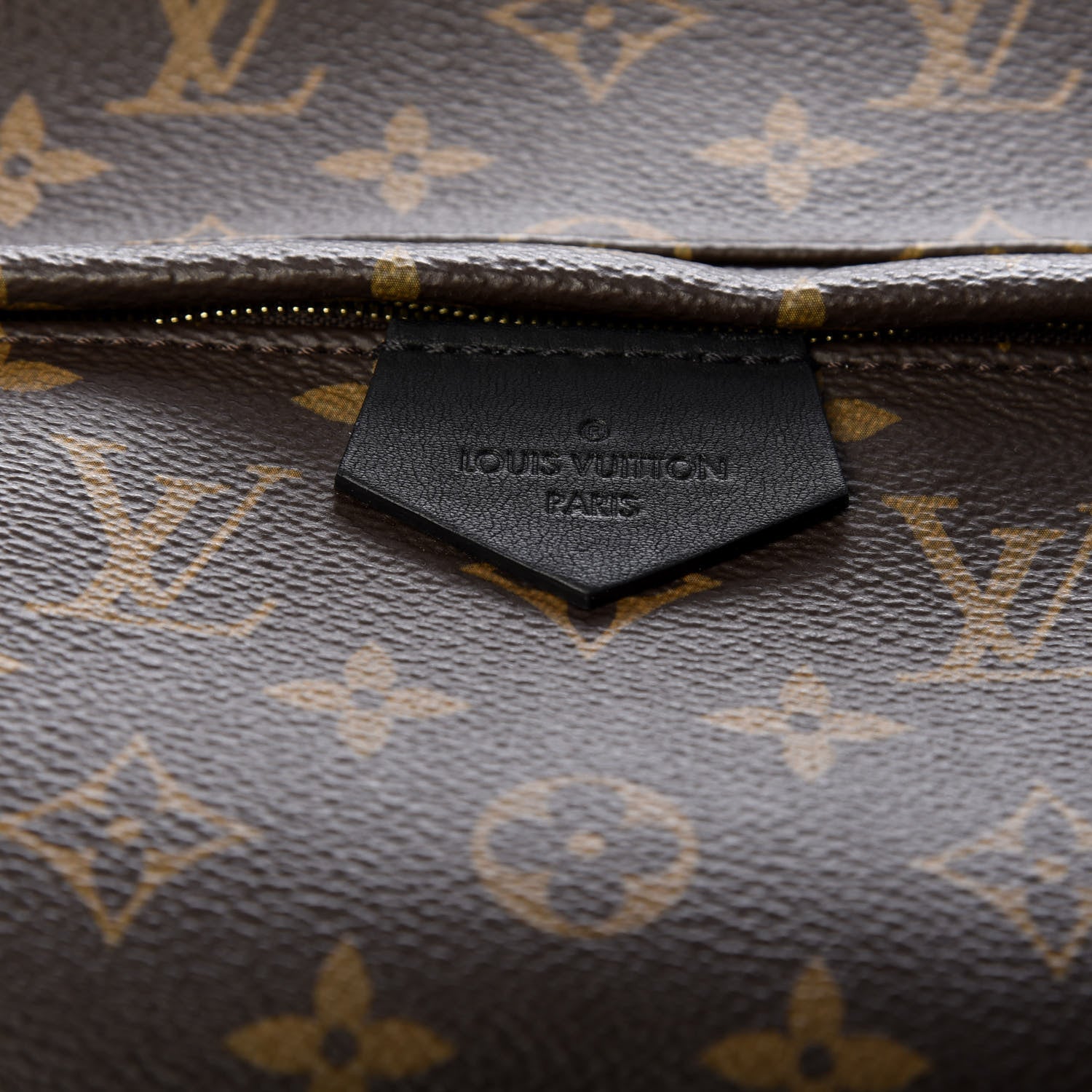 Louis Vuitton Monogram Palm Springs Backpack MM 9 of 10
