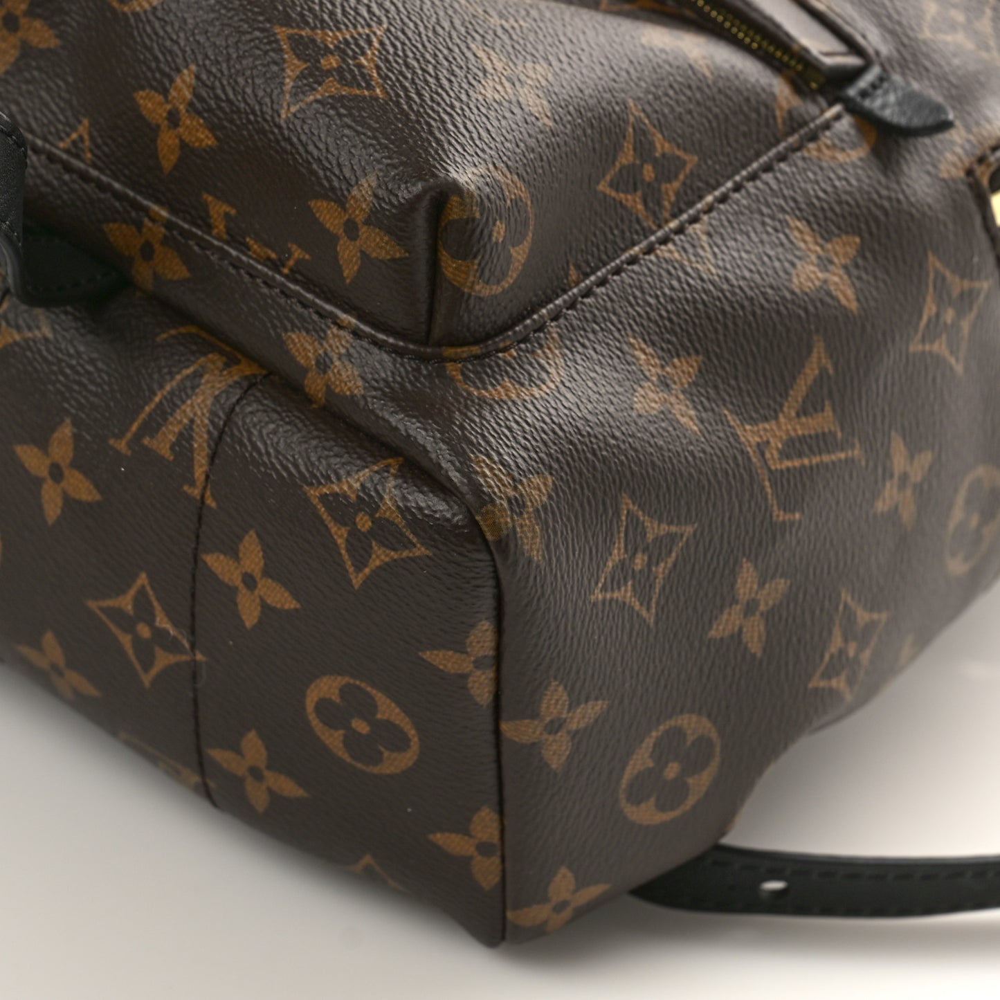 Monogram Palm Springs Backpack PM