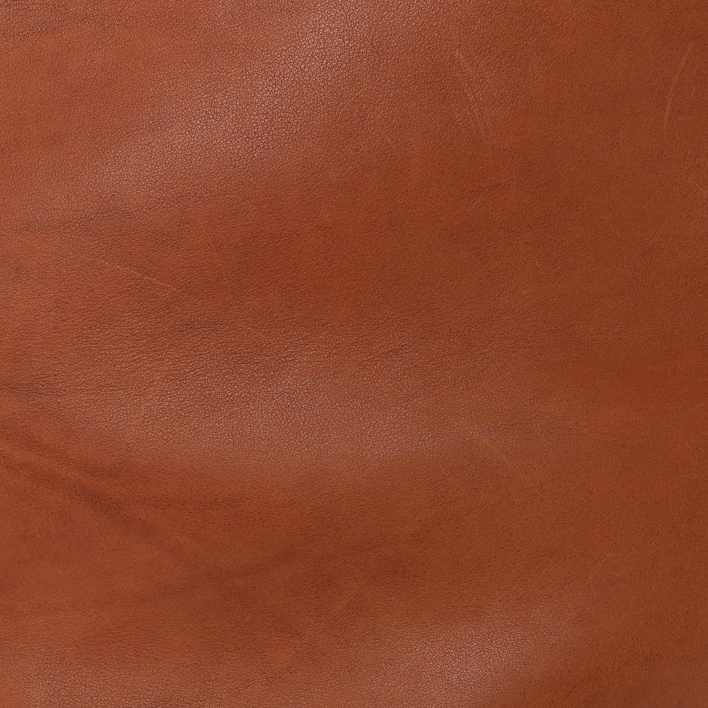 Polished Saddle Calfskin Large N/S Park Tote Dark Cuir