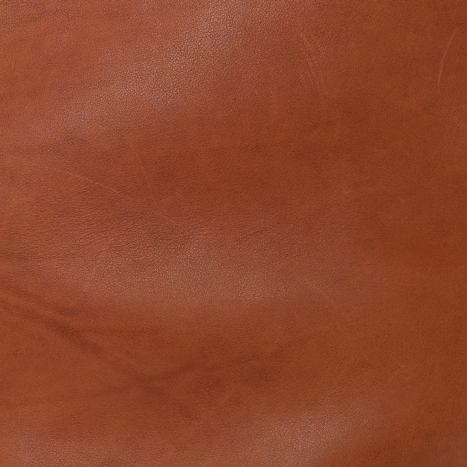 The Row Polished Saddle Calfskin Large N/S Park Tote Dark Cuir 7 of 9
