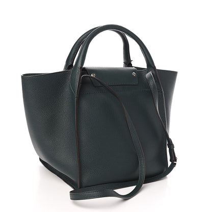 Celine Supple Grained Calfskin Small Big Bag Amazone 3 of 10