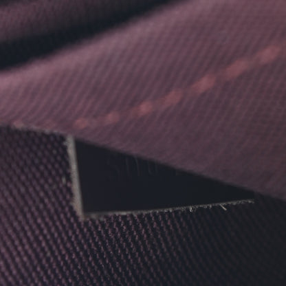 Louis Vuitton Damier Ebene Iena MM 7 of 10