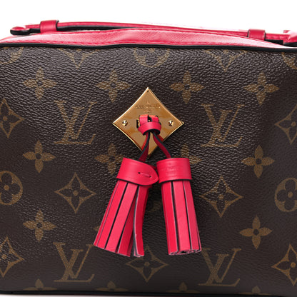 Louis Vuitton Monogram Saintonge Freesia 8 of 15