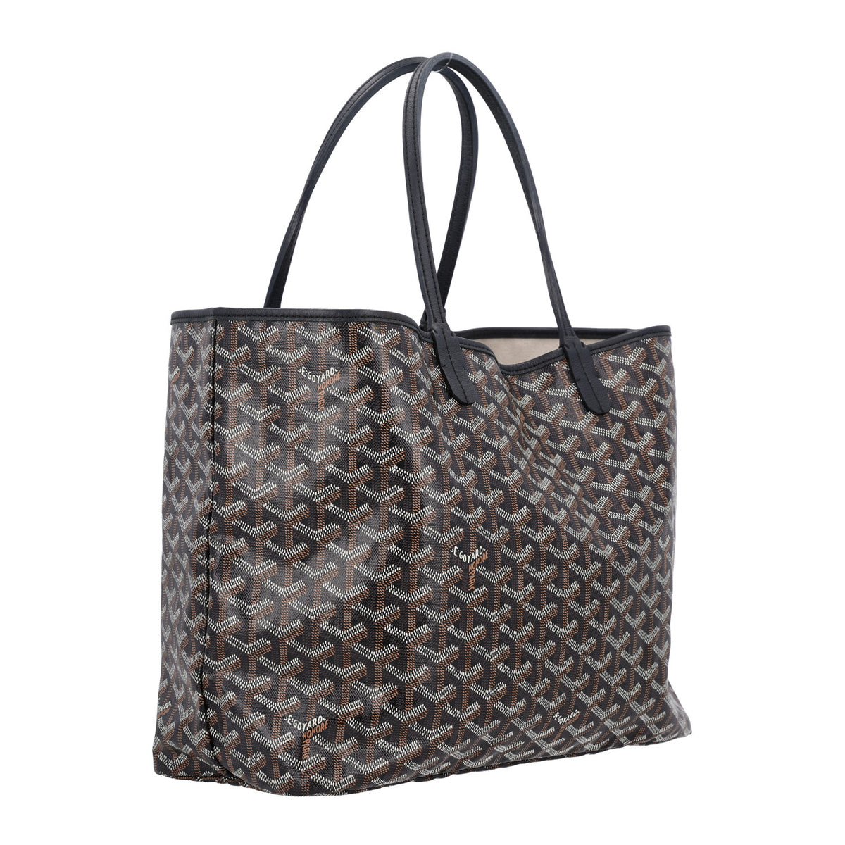 Goyard Goyardine Saint Louis PM Black 4 of 11
