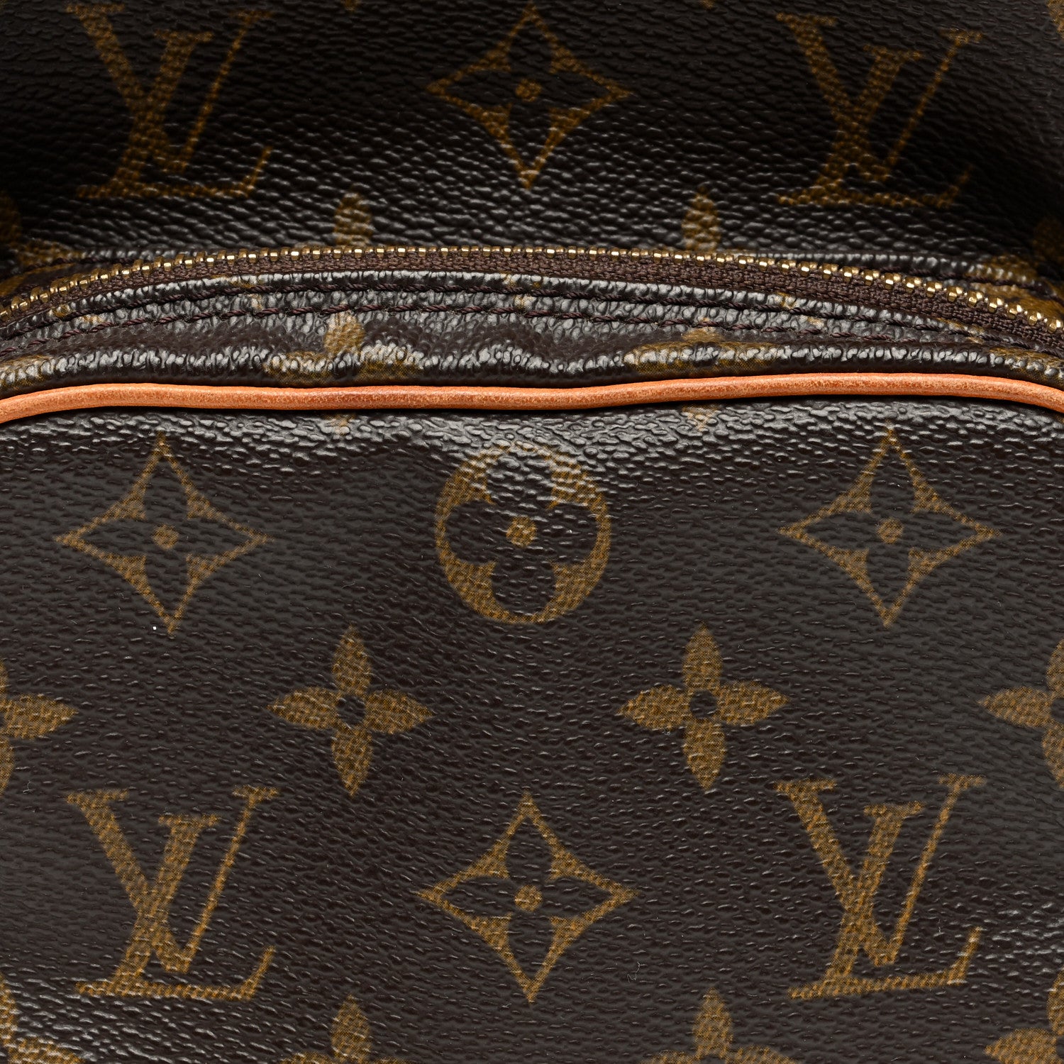 Louis Vuitton Monogram Amazone 7 of 10