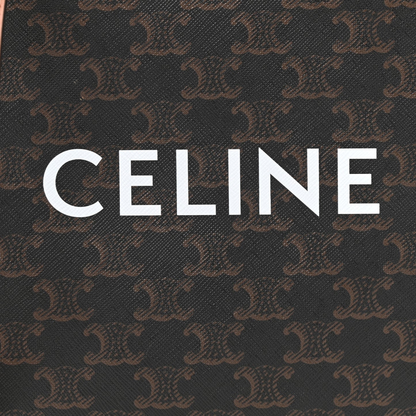 Triomphe Canvas Calfskin Mini Vertical Cabas Tan