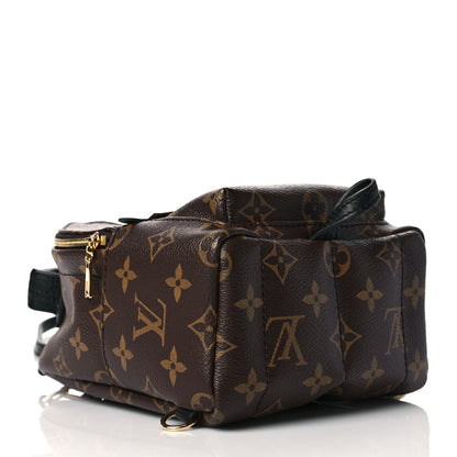 Louis Vuitton Monogram Palm Springs Backpack Mini 4 of 9