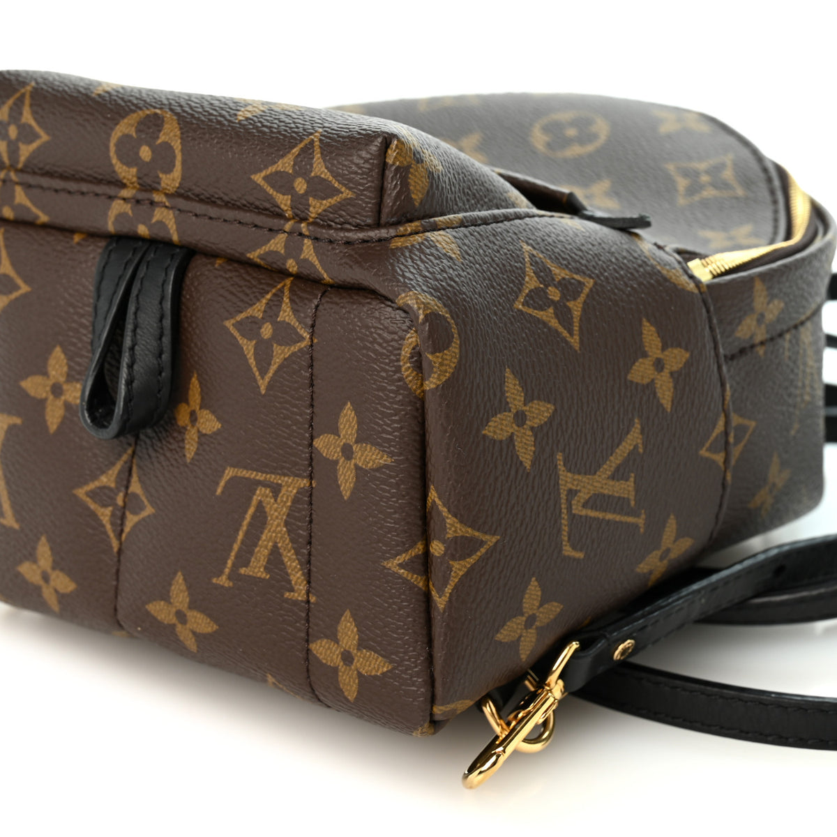 Monogram Palm Springs Backpack Mini