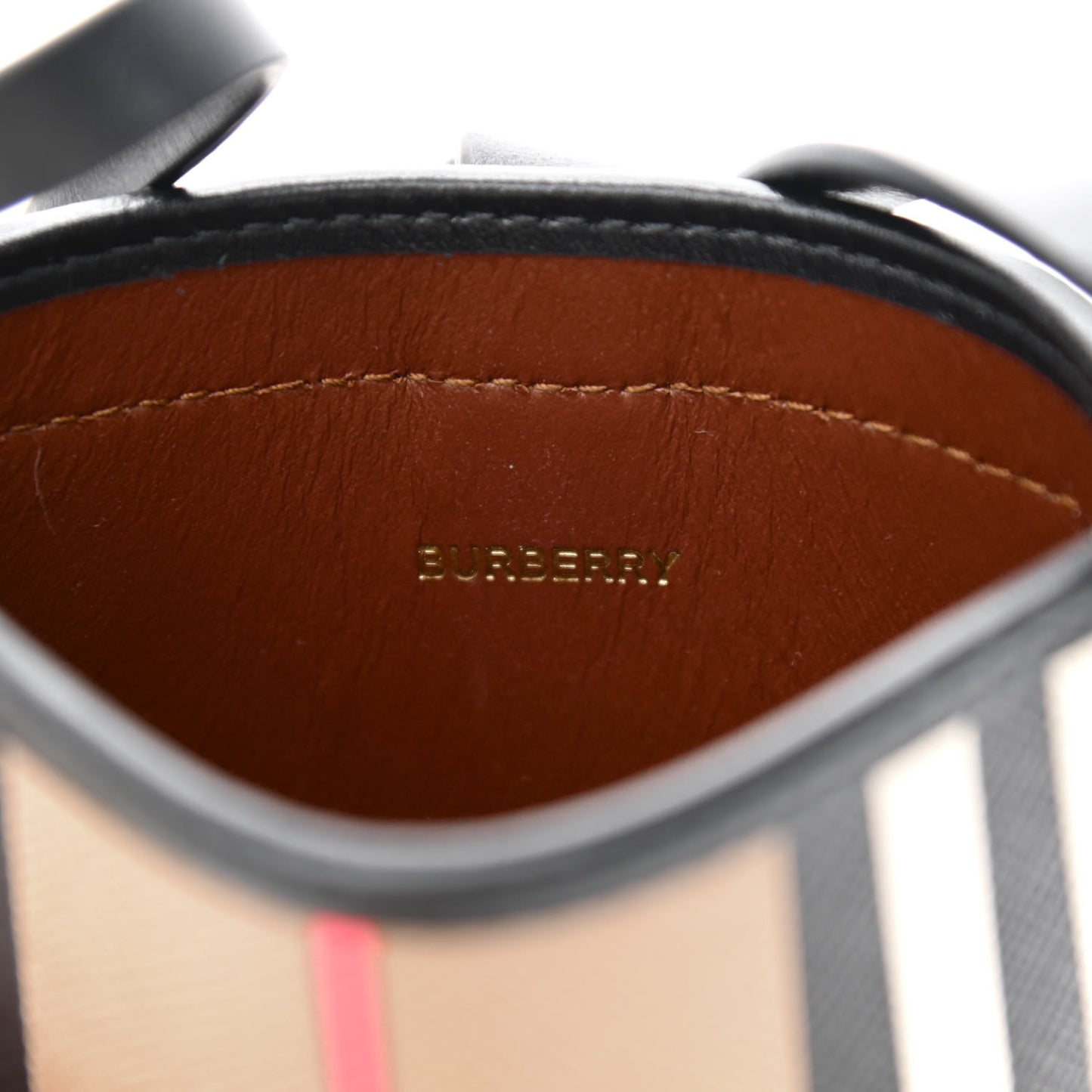 E-Canvas Calfskin Icon Stripe Anne Phone Case With Strap Archive Beige