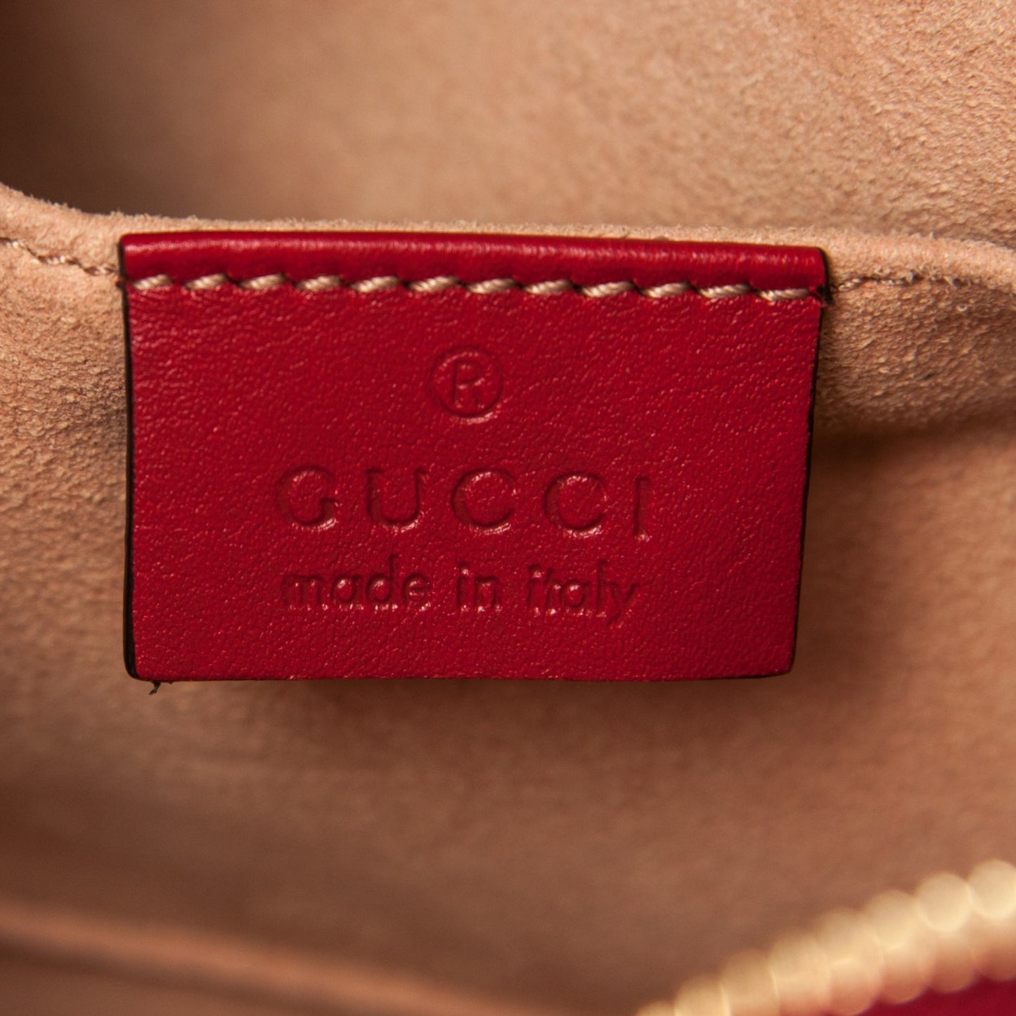Guccissima Signature Small Camera Bag Hibiscus Red
