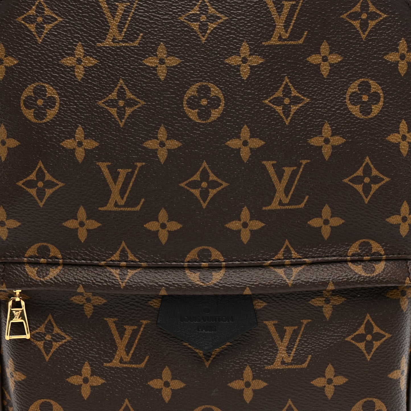 Monogram Palm Springs Backpack MM