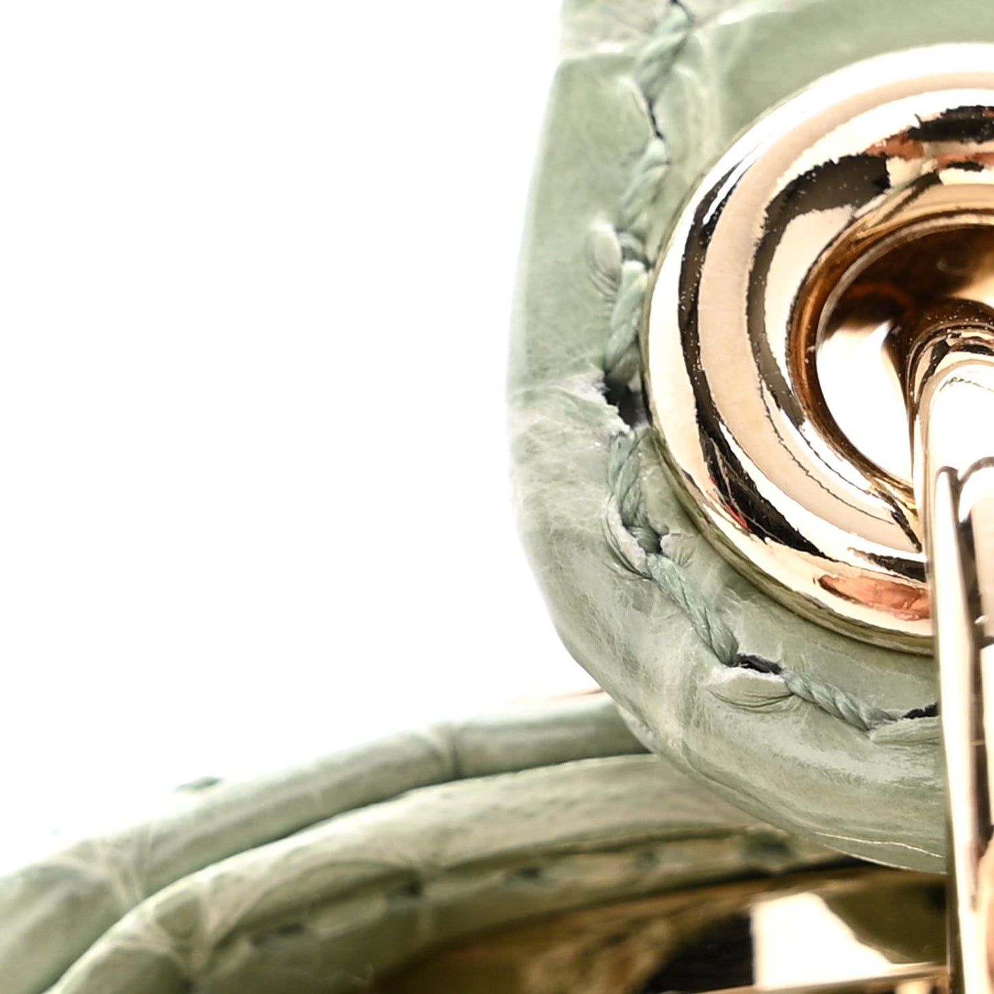 Shiny Crocodile Micro Lady Dior Green