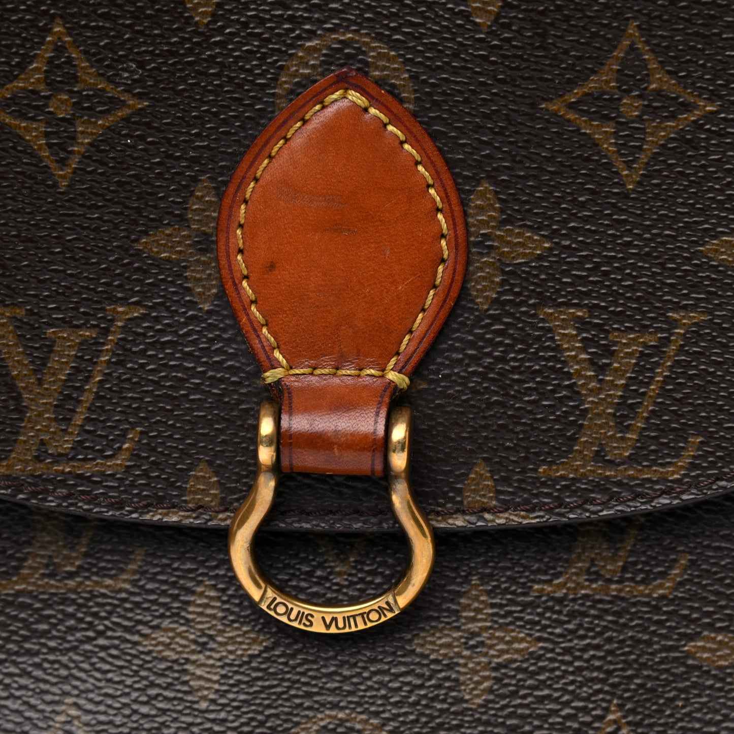 Monogram Saint Cloud PM