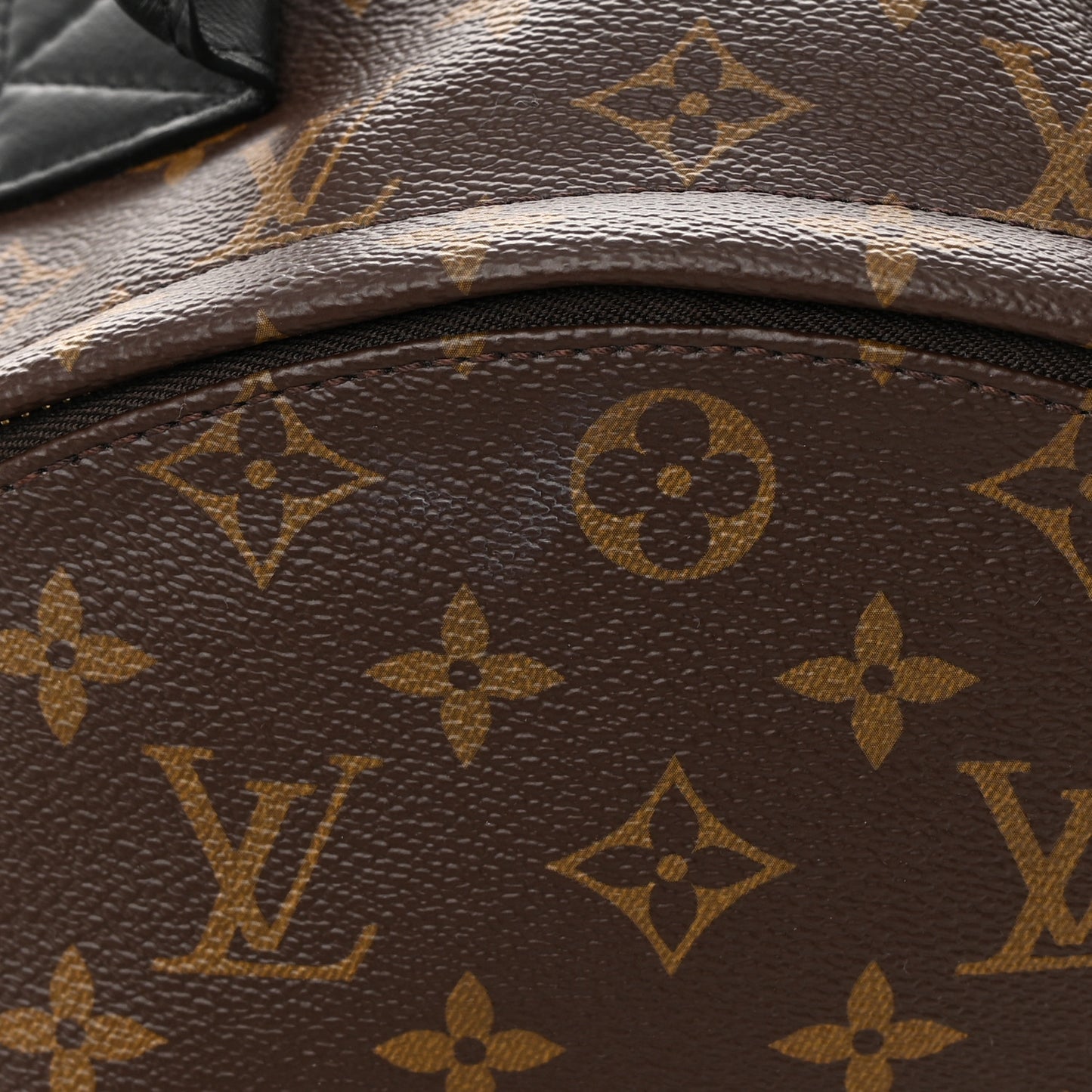 Monogram Palm Springs Backpack MM