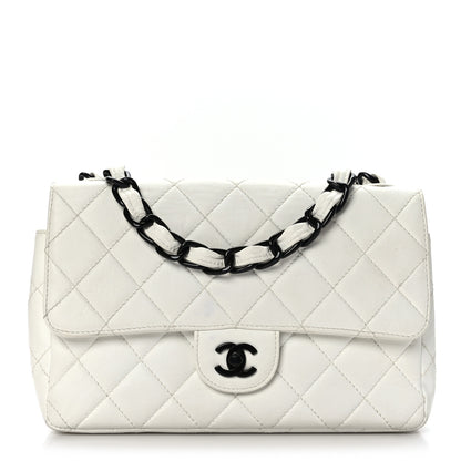 Chanel Lambskin Bekko Resin Medium Flap White 1 of 9