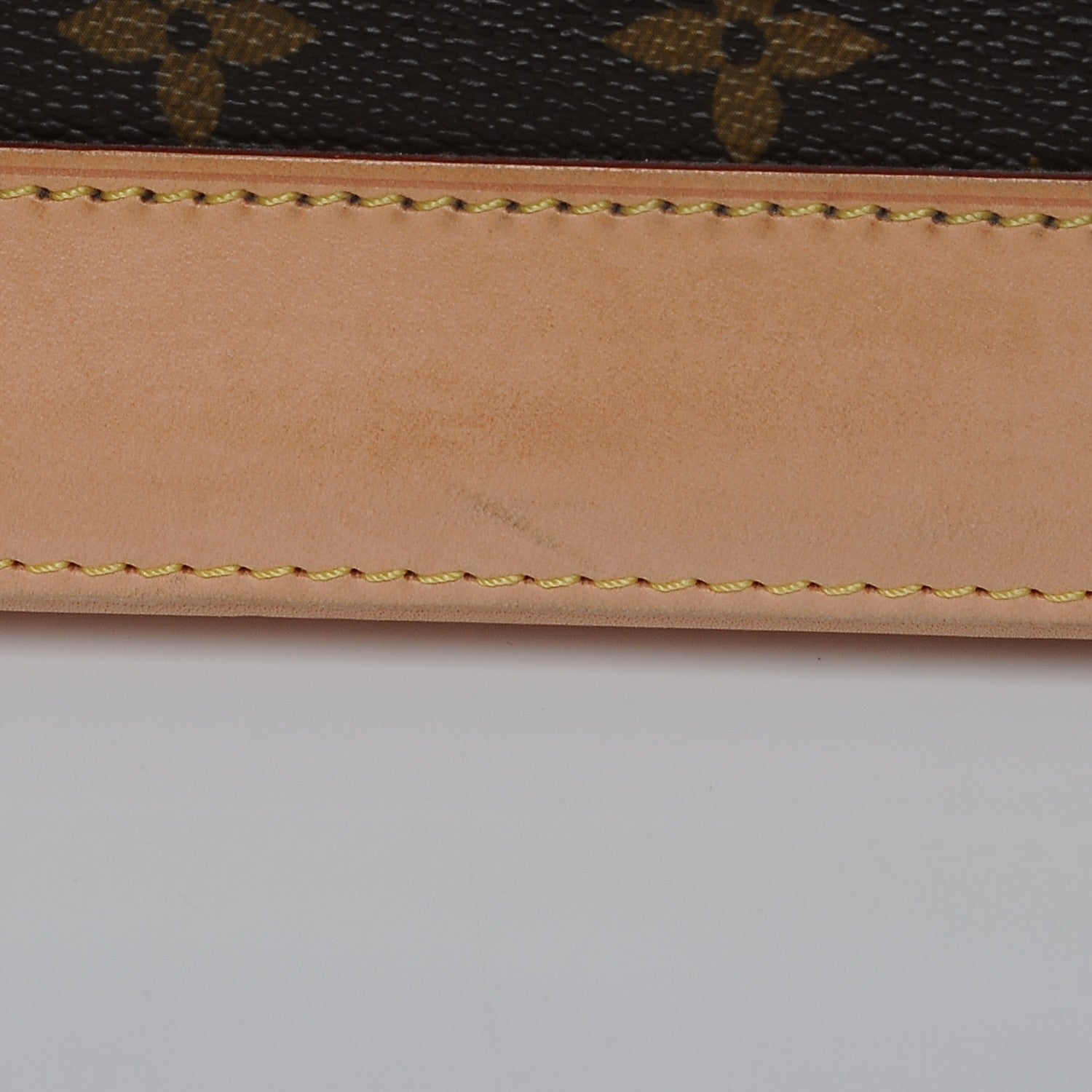 Louis Vuitton Monogram Alma GM 8 of 14