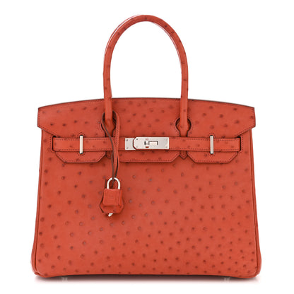 Hermes Ostrich Birkin 30 Brique 1 of 12