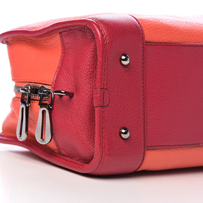 Loewe Goatskin Amazona 28 Orange 8 of 10