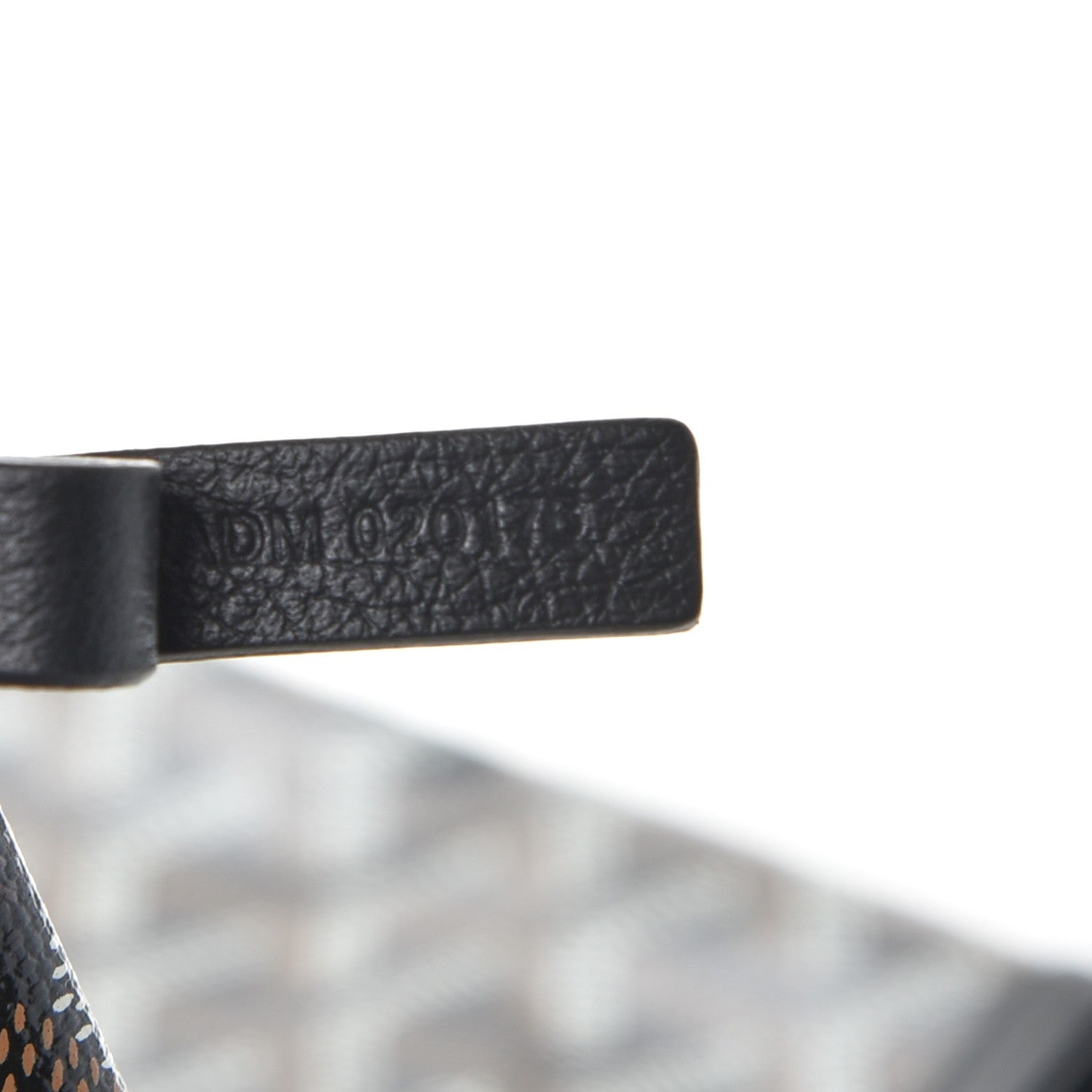 Goyard Goyardine Saint Louis PM Black 9 of 9