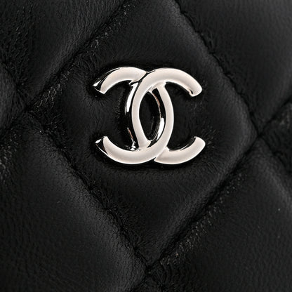 Chanel Lambskin Quilted Small Cosmetic Case Black 10 of 11