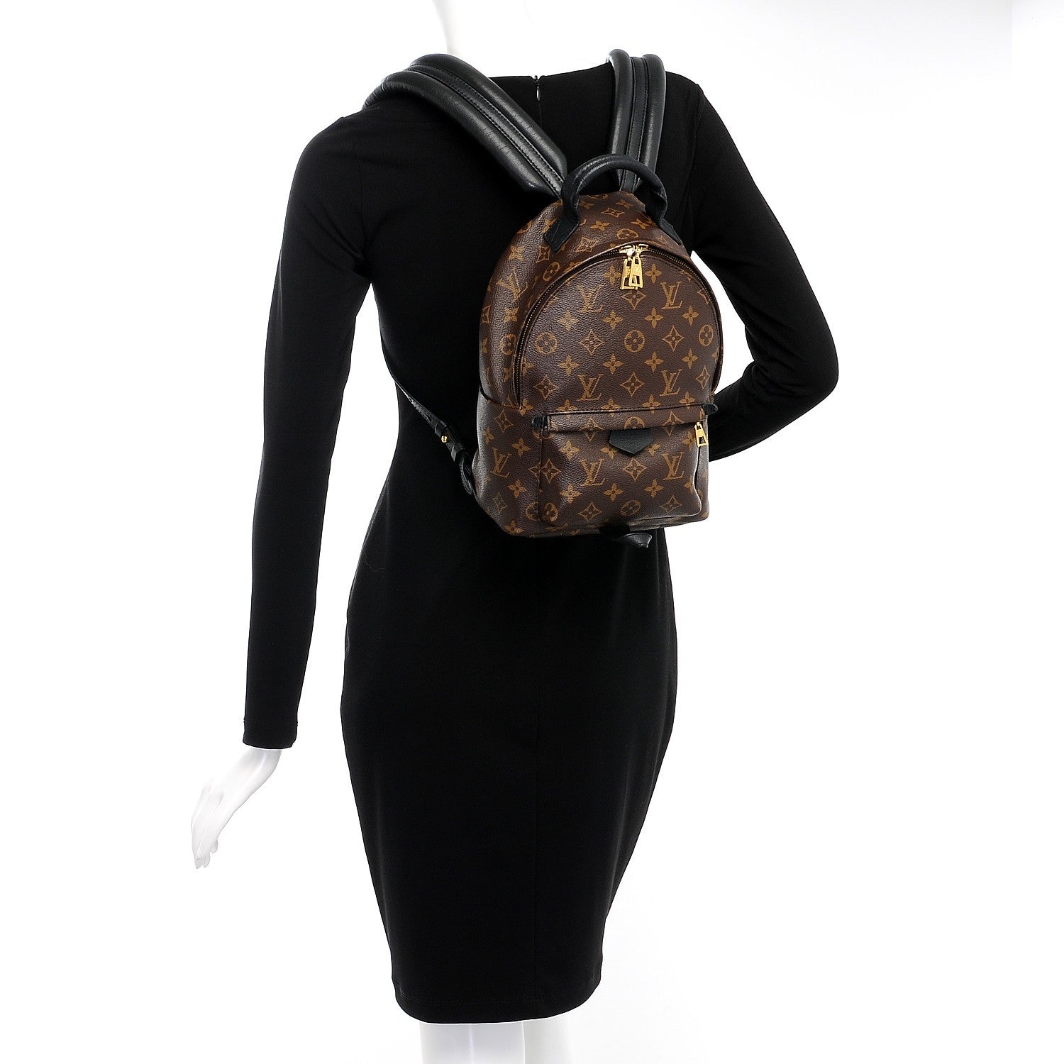 Louis Vuitton Monogram Palm Springs Backpack PM 2 of 8