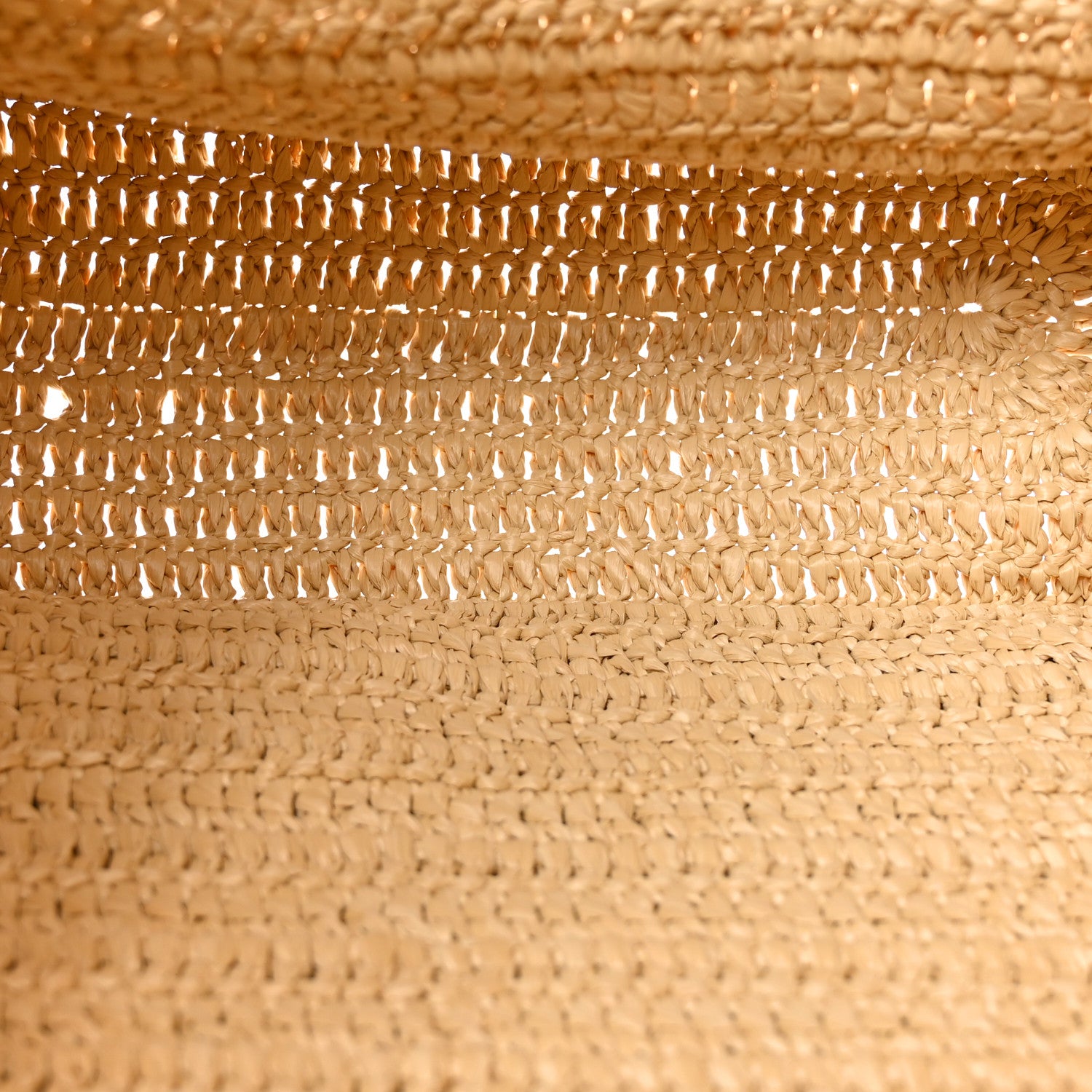 Saint Laurent Raffia Rive Gauche Tote Natural 5 of 10