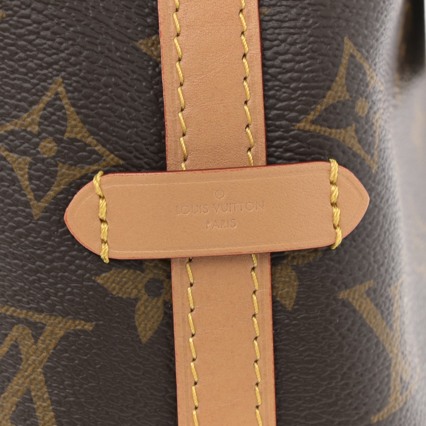 Monogram Carryall PM