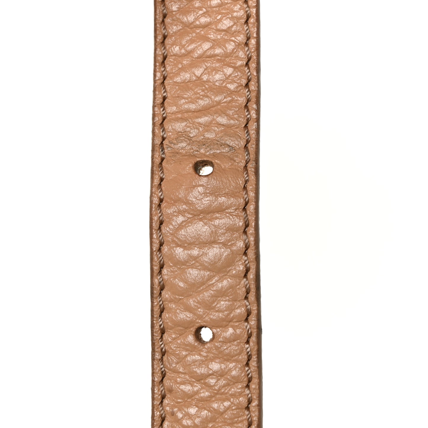 Pebbled Calfskin Small Chameleon Tote Beige