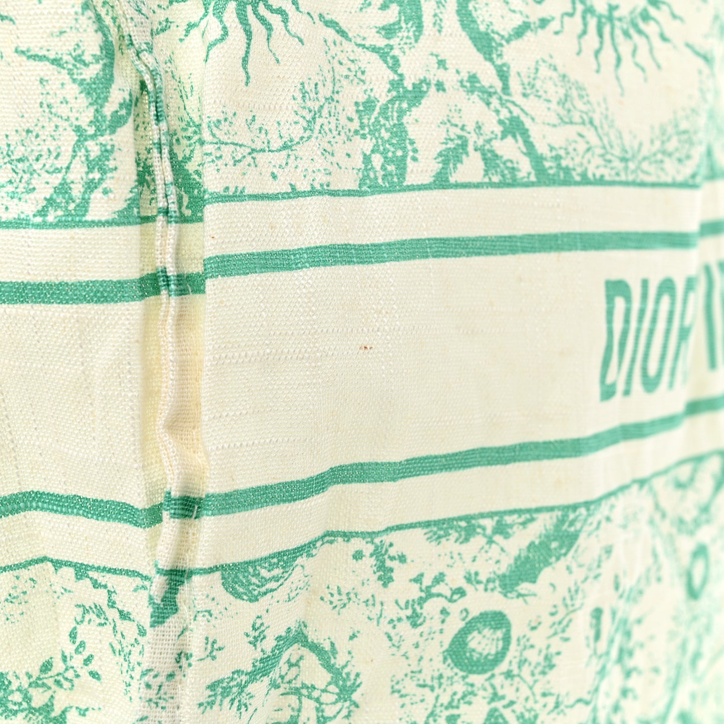 Canvas Dioriviera Toile de Jouy Soleil Tote Aquamarina