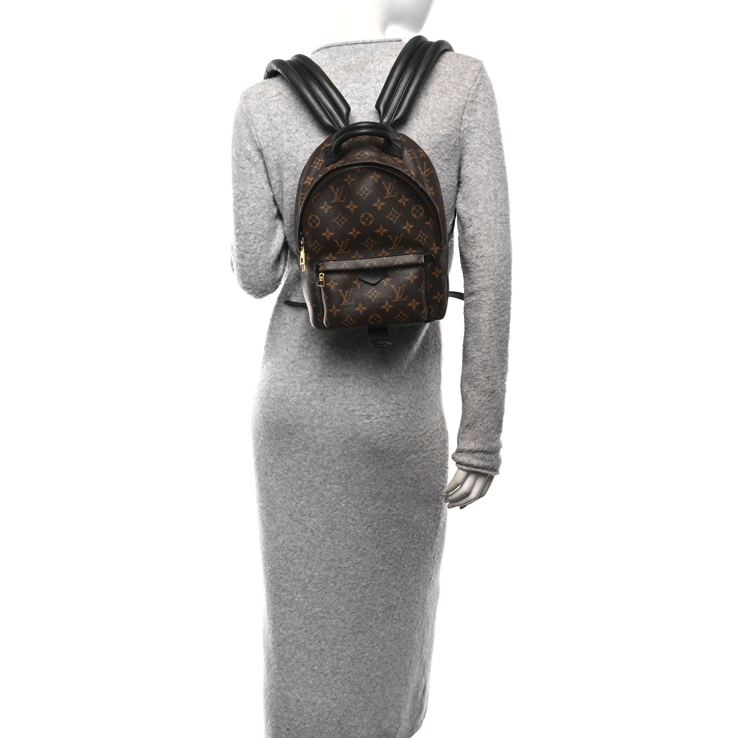 Louis Vuitton Monogram Palm Springs Backpack PM 2 of 9