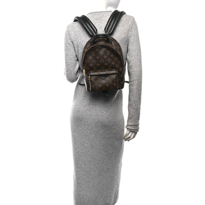 Louis Vuitton Monogram Palm Springs Backpack PM 2 of 9