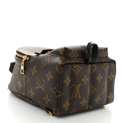 Louis Vuitton Monogram Palm Springs Backpack Mini 4 of 9