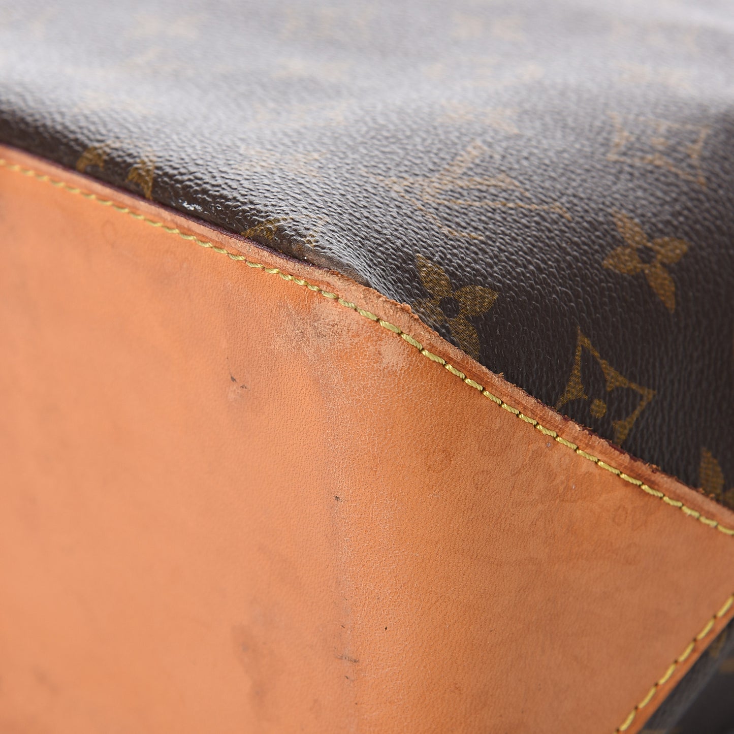 Monogram Cabas Piano