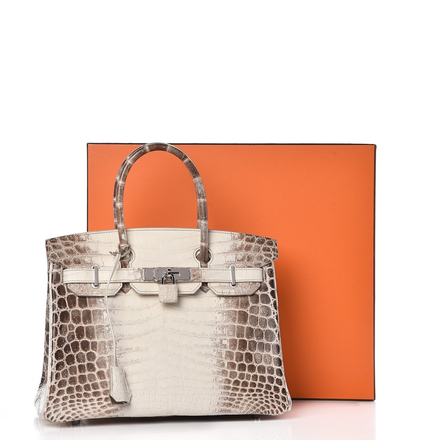 Matte Niloticus Crocodile Himalaya Birkin 30 Blanc