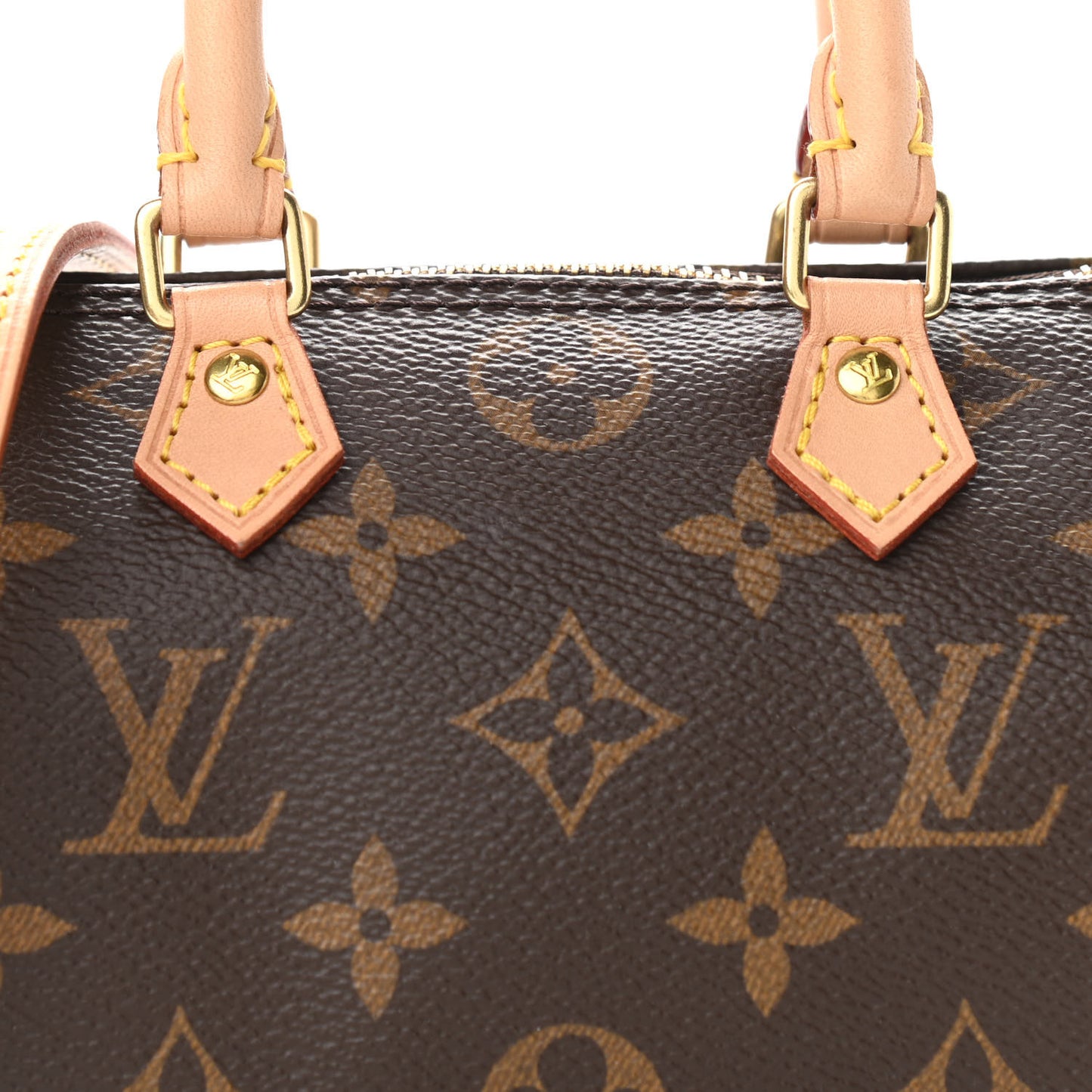 Monogram Nano Speedy